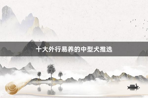 十大外行易养的中型犬推选