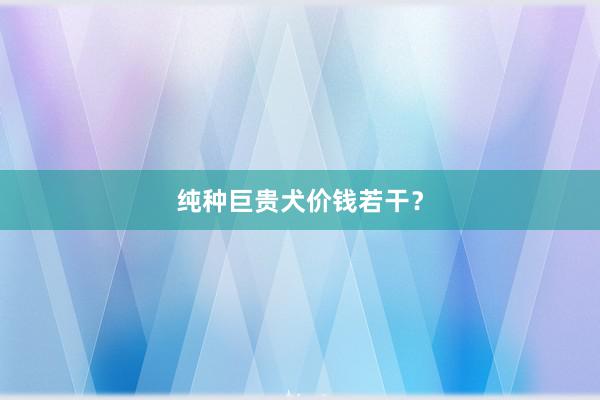 纯种巨贵犬价钱若干？