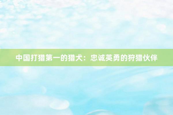 中国打猎第一的猎犬：忠诚英勇的狩猎伙伴