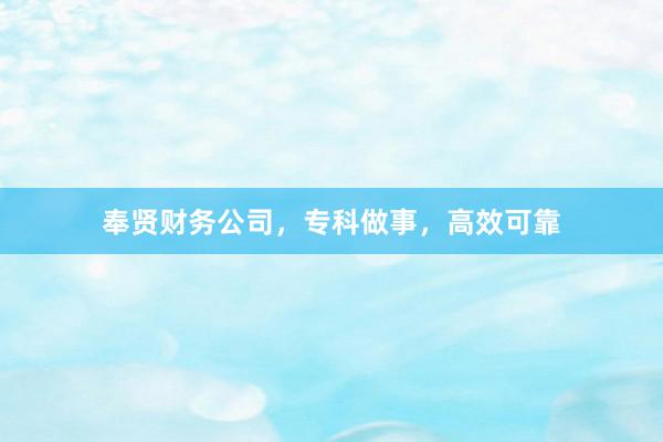 奉贤财务公司，专科做事，高效可靠